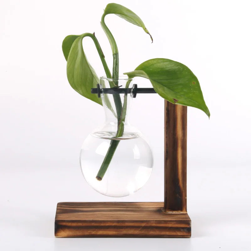 Hydroponic Terrarium Glass Vase Decor