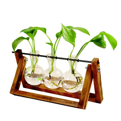 Glass Tabletop Hydroponic Plant Vase