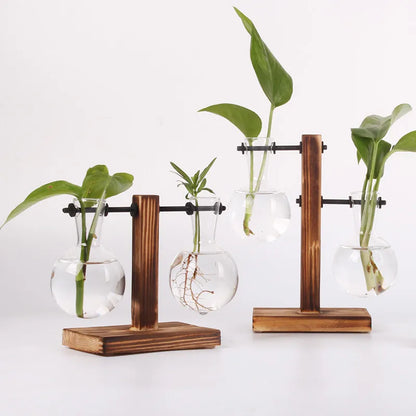 Hydroponic Terrarium Glass Vase Decor