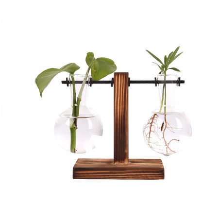 Hydroponic Terrarium Glass Vase Decor